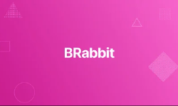 Featured image of post CyberDefenders — BRabbit Lab Walkthrough