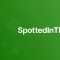 CyberDefenders\u200a — SpottedInTheWild Blue Team Lab Walkthrough